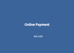 Online Payment